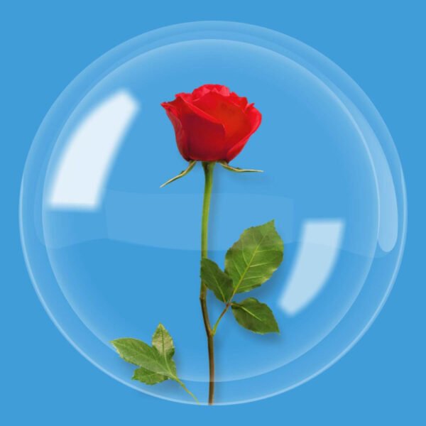 Wide Neck Bubble (20")